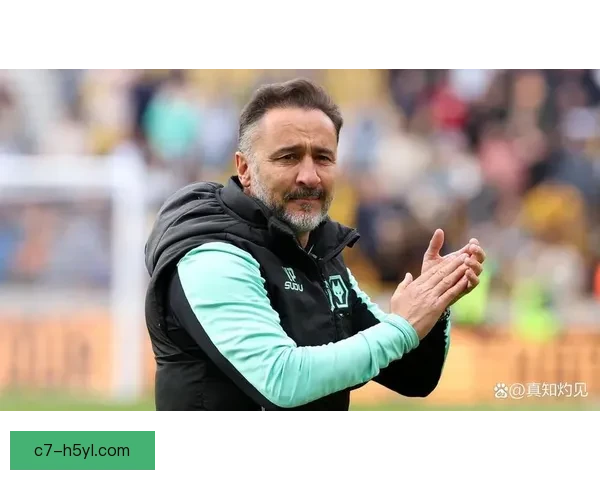 官方维托尔佩雷拉执教森林主帅